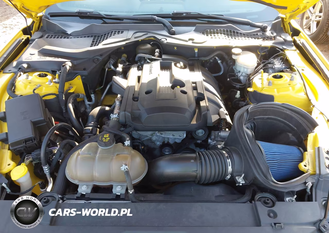 2016 Ford Mustang Ecoboost VIN:1FA6P8TH6G5219652 - 10
