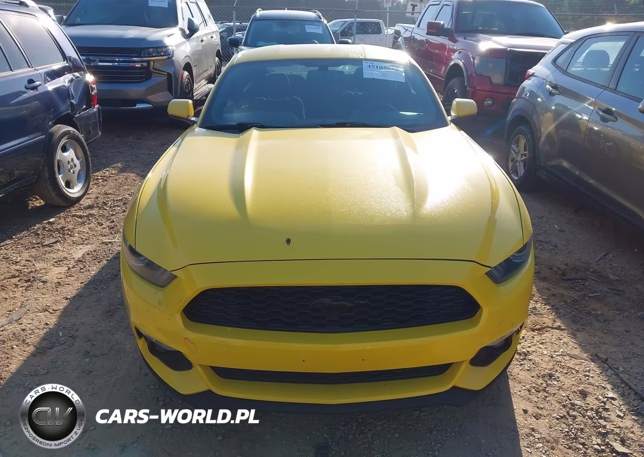 2016 Ford Mustang Ecoboost VIN:1FA6P8TH6G5219652 - 12