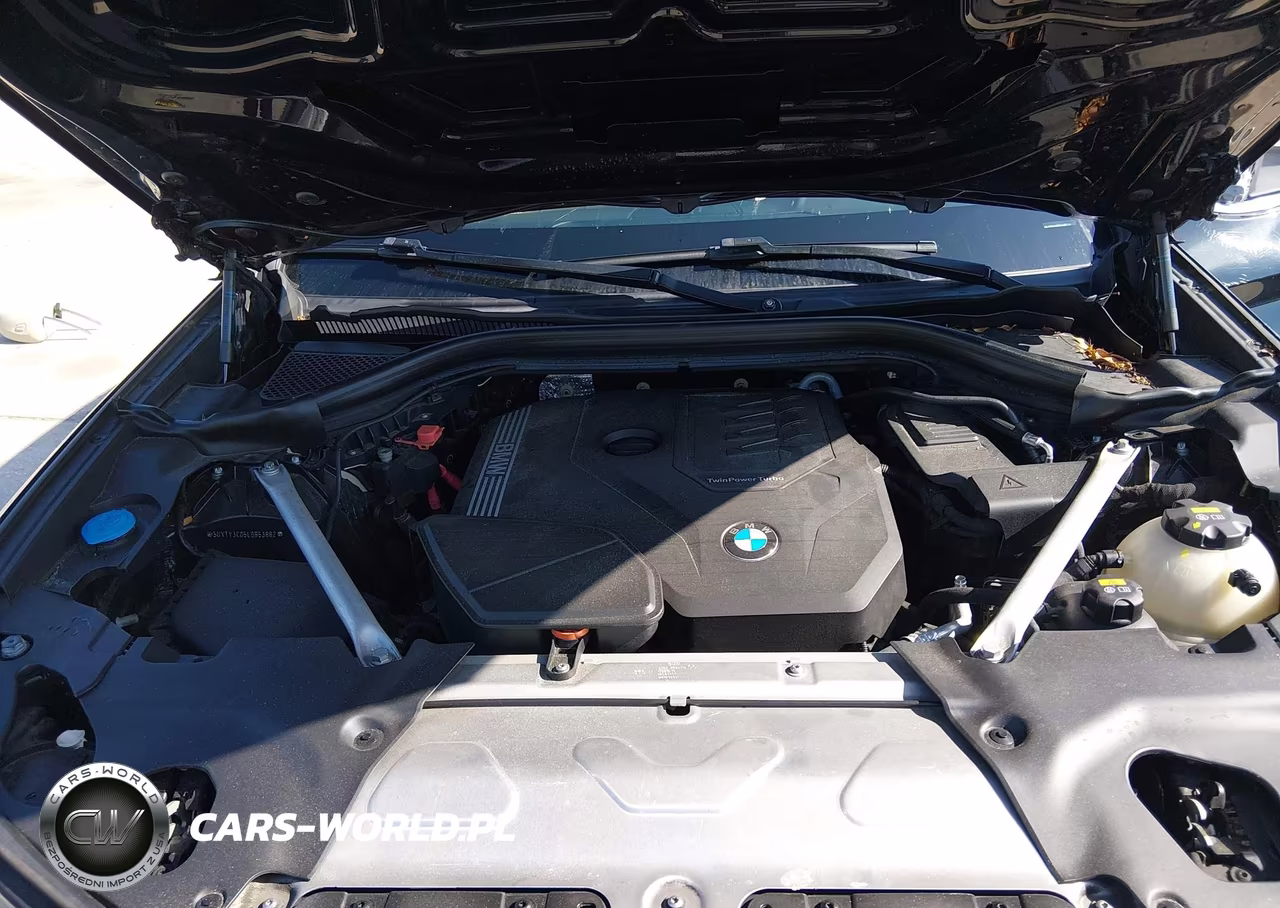 2020 BMW X3 Sdrive30I VIN:5UXTY3C05L9B53882 - 10