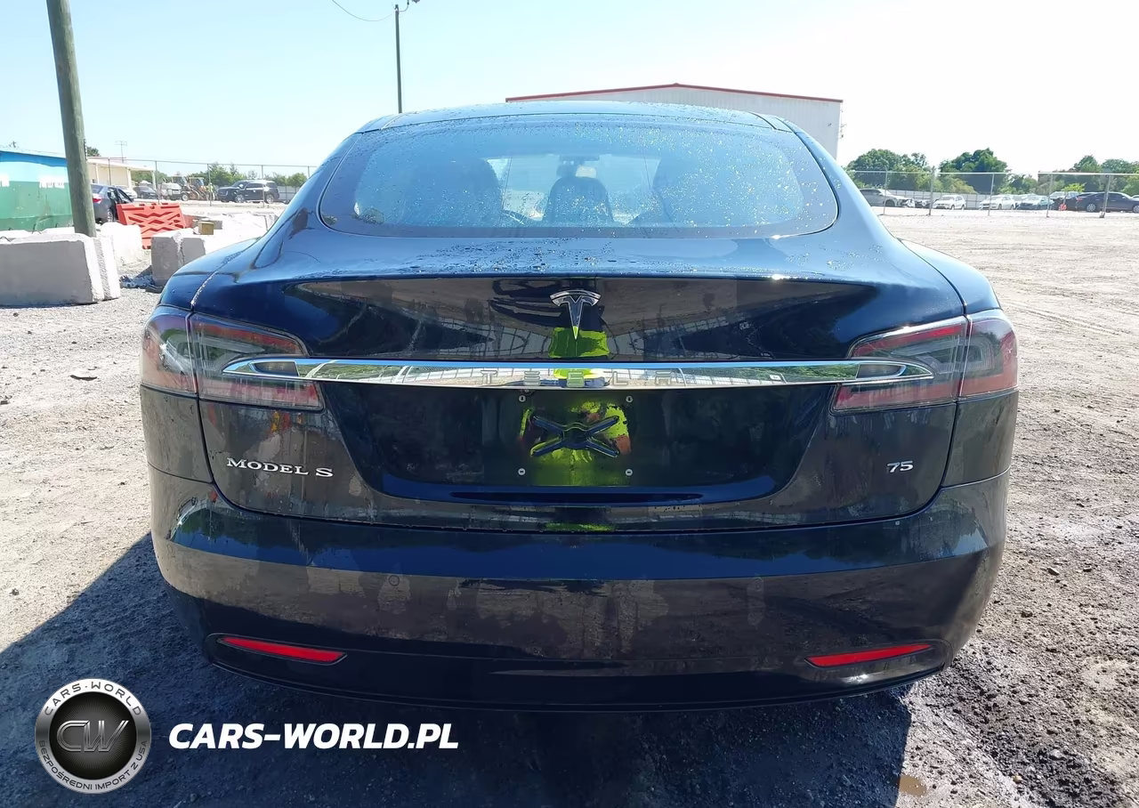 2017 Tesla Model S 60-75 VIN:5YJSA1E15HF204318 - 17