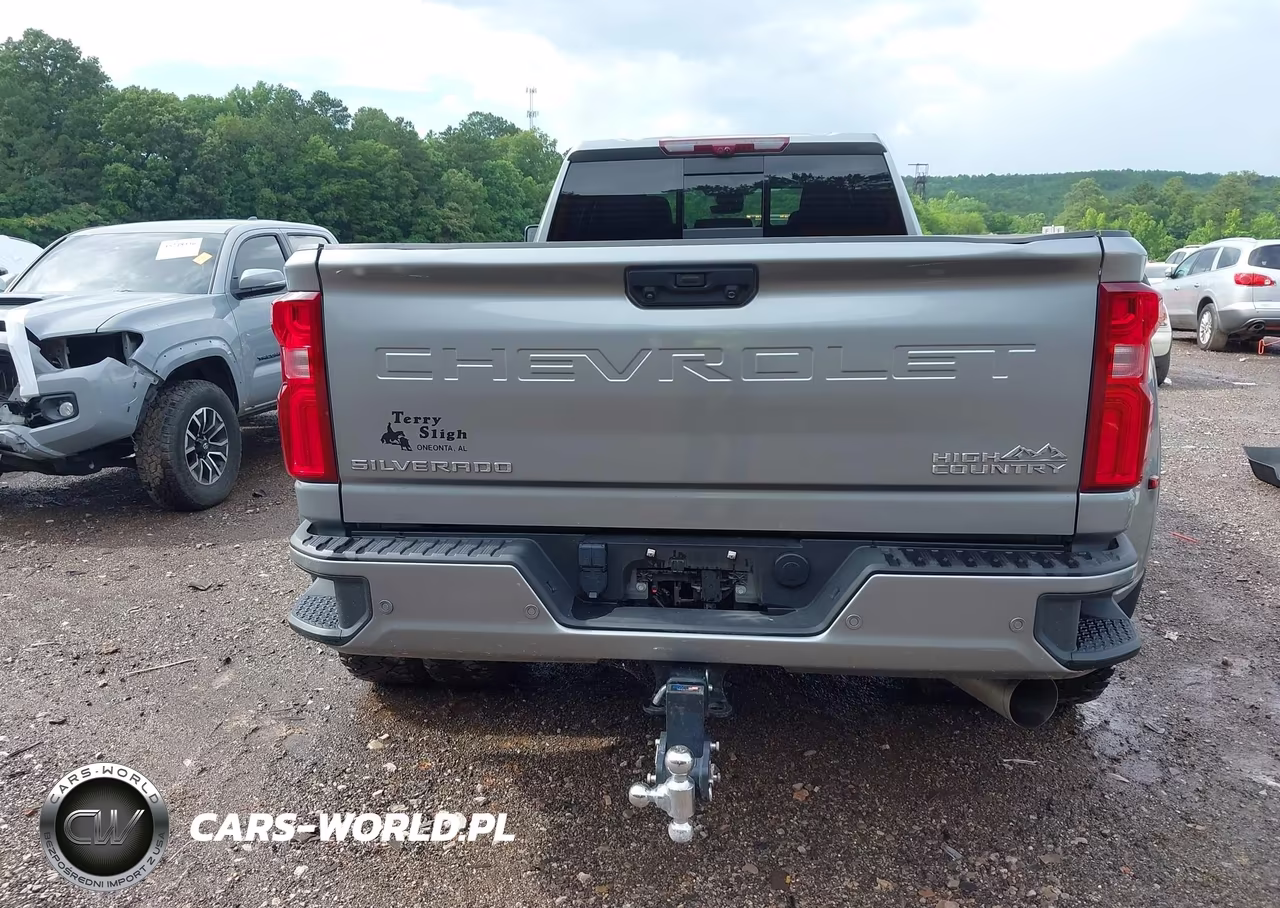 2025 Chevrolet Silverado 3500Hd 4Wd Long Bed High Country VIN:1GC4KVEY6SF108601 - 15