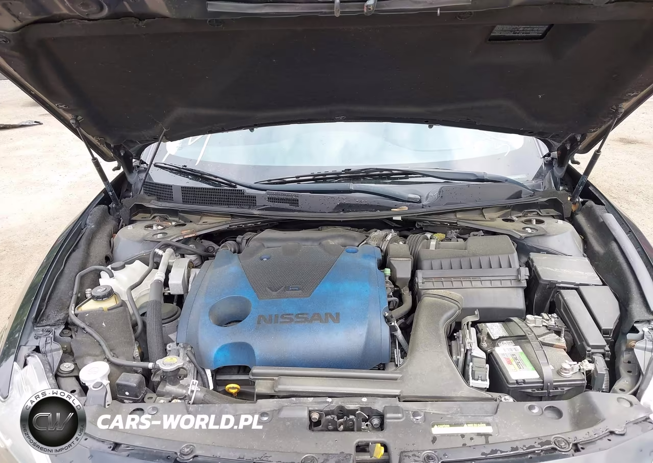 NISSAN MAXIMA VIN:1N4AA6AP6HC449943 - 10