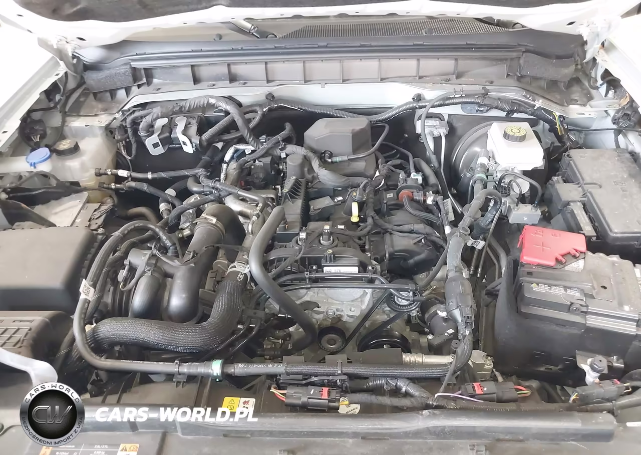 2024 Ford Bronco Big Bend VIN:1FMDE7BH7RLB26698 - 10