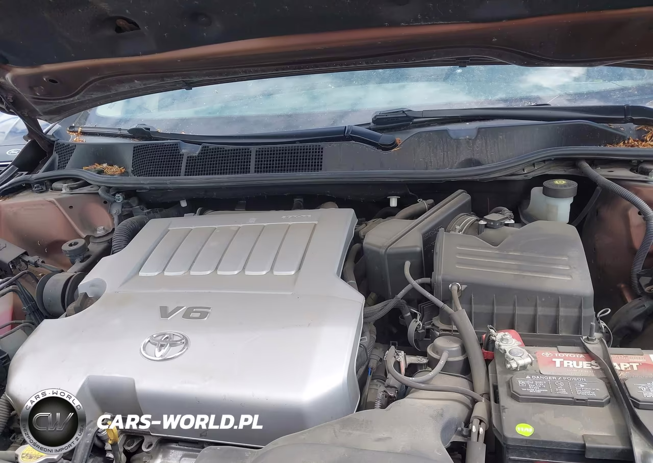 2010 Toyota Venza Base V6 VIN:4T3BK3BB8AU041668 - 10
