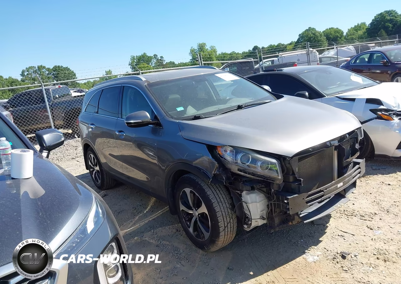 2016 Kia Sorento 2.0T Ex VIN:5XYPH4A15GG021503 - 14
