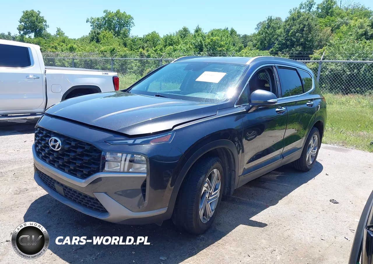 2023 Hyundai Santa Fe Sel VIN:5NMS24AJ8PH529238 - 2