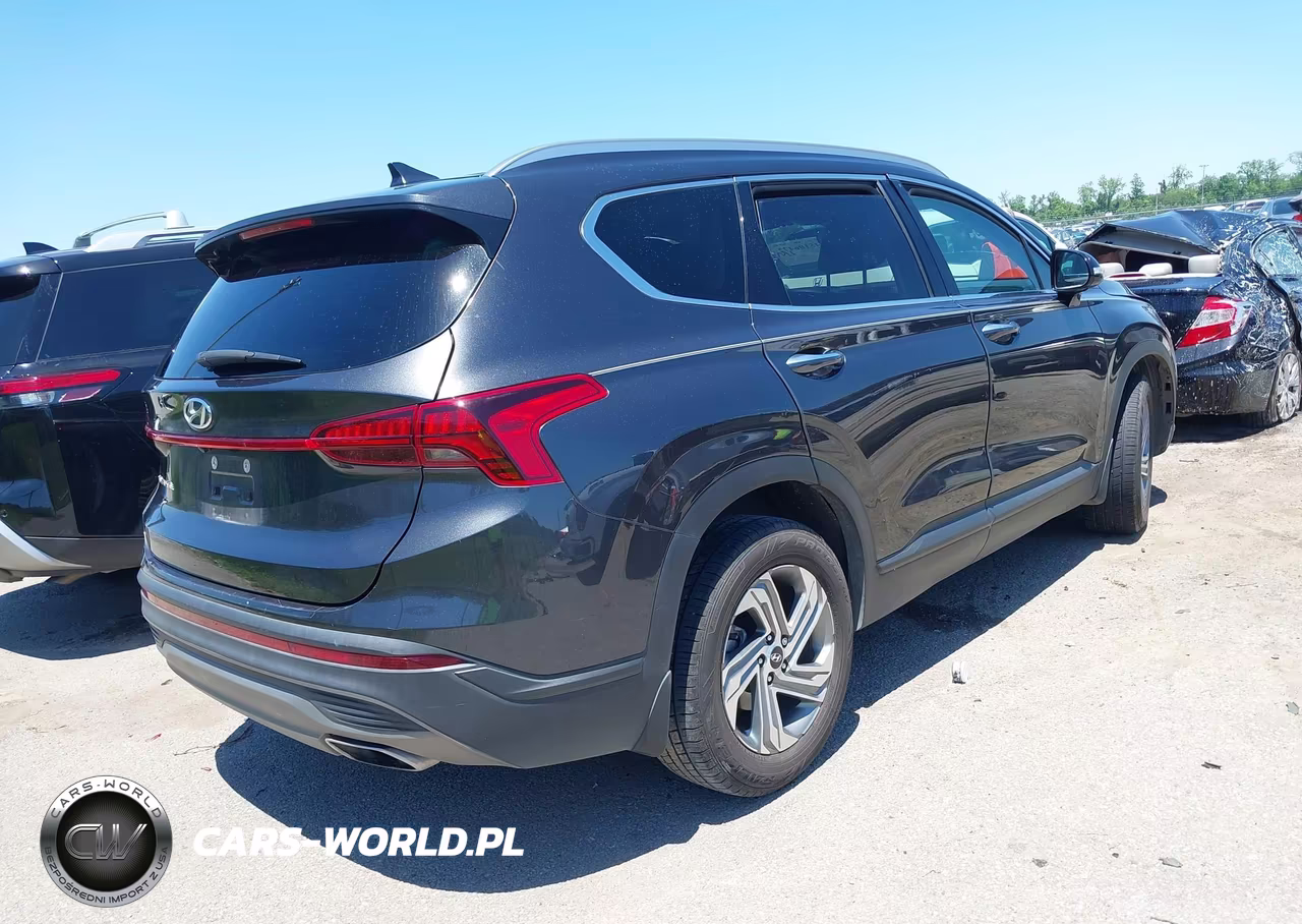 2023 Hyundai Santa Fe Sel VIN:5NMS24AJ8PH529238 - 4