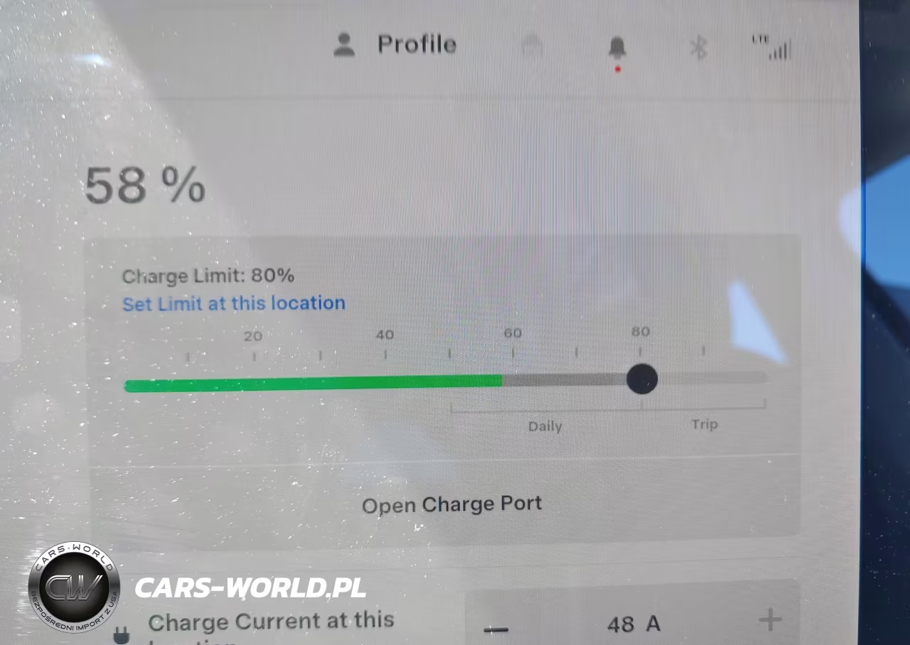 2022 Tesla Model Y Performance Dual Motor All-Wheel Drive VIN:7SAYGDEF5NF398322 - 16