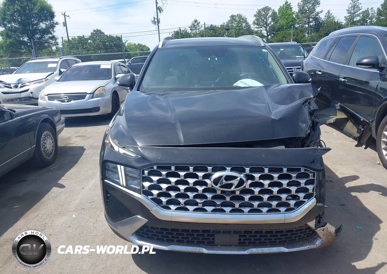 2023 Hyundai Santa Fe Sel VIN:5NMS3DAJ9PH528533 - 12