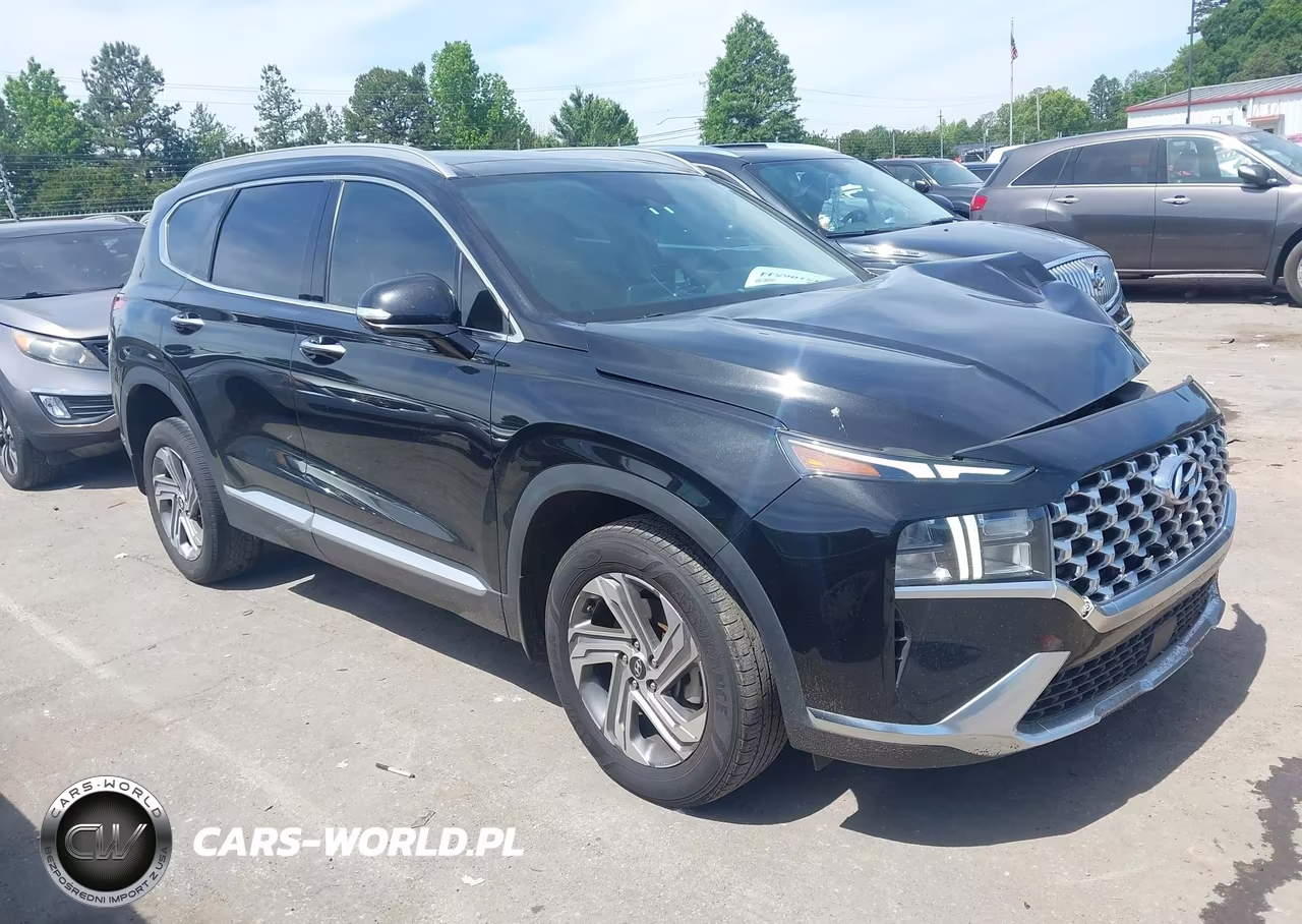 2023 Hyundai Santa Fe Sel VIN:5NMS3DAJ9PH528533 - 13