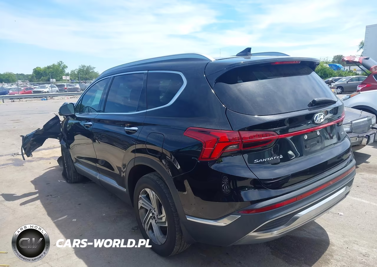 2023 Hyundai Santa Fe Sel VIN:5NMS3DAJ9PH528533 - 14