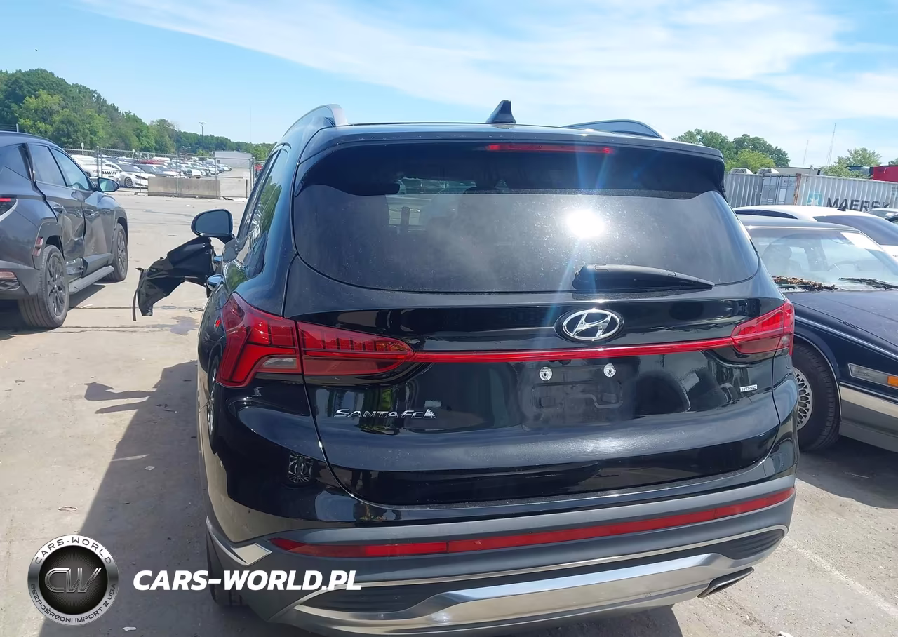 2023 Hyundai Santa Fe Sel VIN:5NMS3DAJ9PH528533 - 16