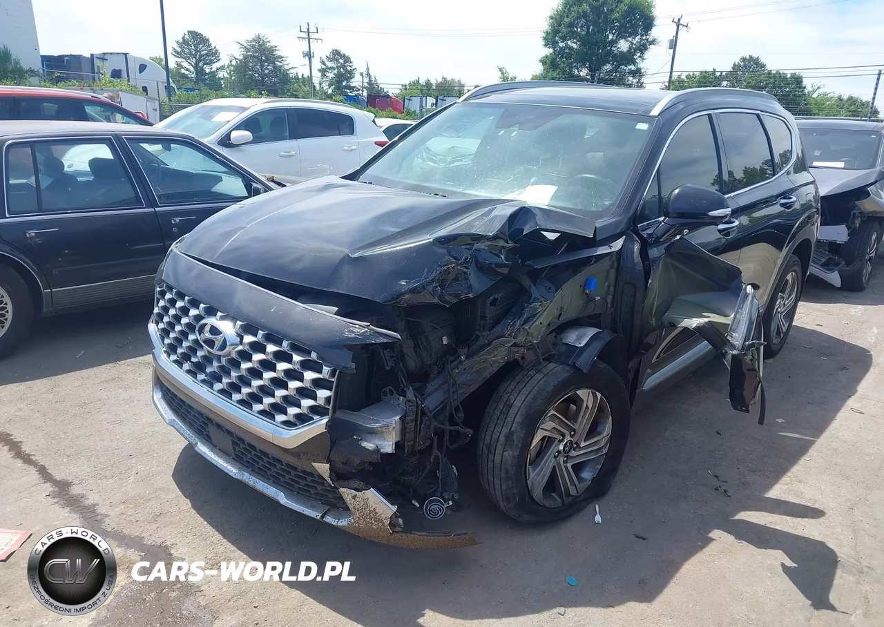 2023 Hyundai Santa Fe Sel VIN:5NMS3DAJ9PH528533 - 2
