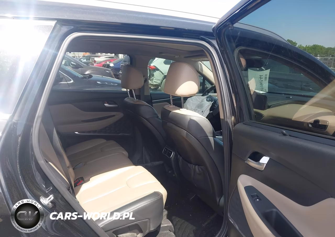 2023 Hyundai Santa Fe Sel VIN:5NMS3DAJ9PH528533 - 8