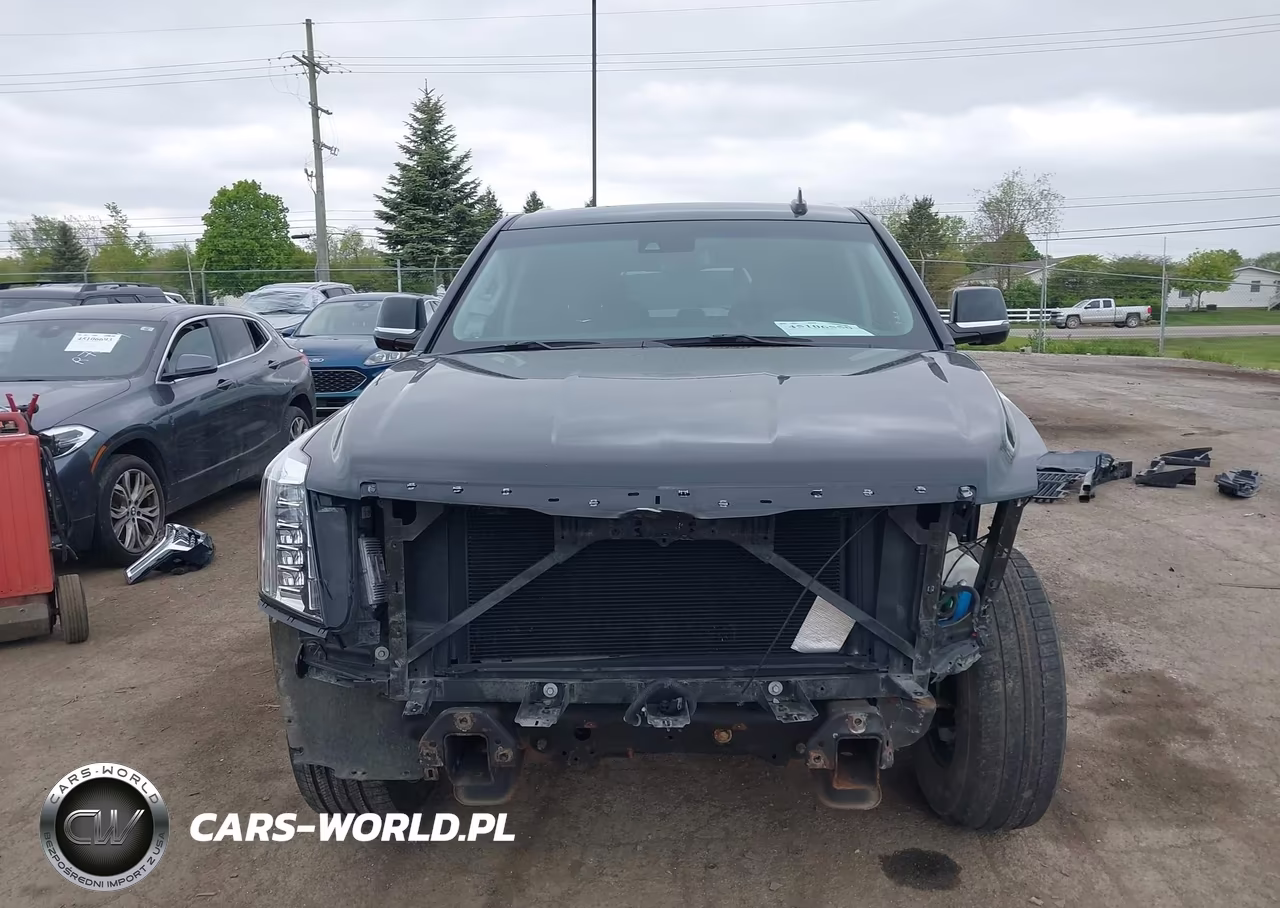 2019 Cadillac Escalade Premium Luxury VIN:1GYS4CKJ9KR189356 - 13