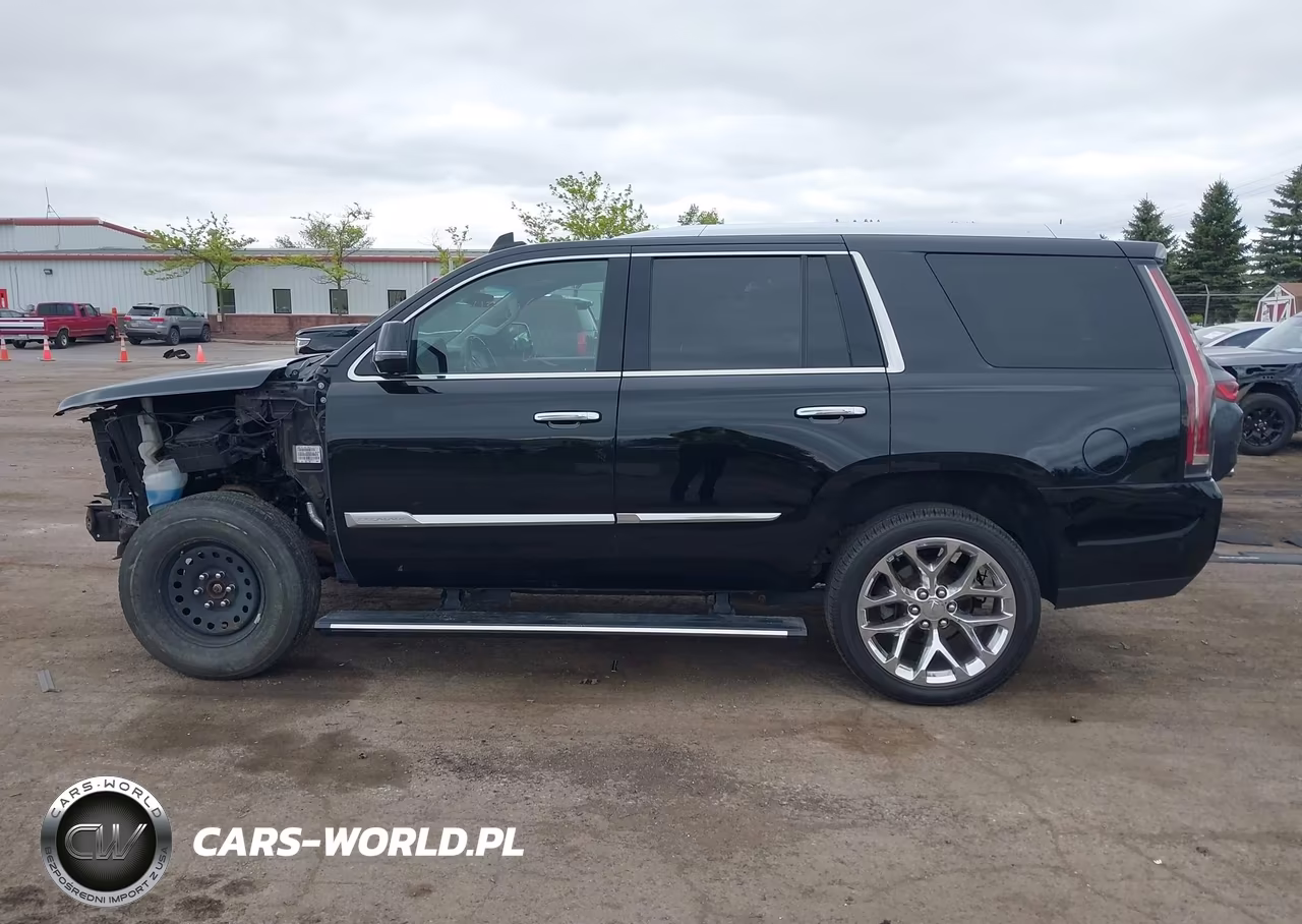 2019 Cadillac Escalade Premium Luxury VIN:1GYS4CKJ9KR189356 - 15