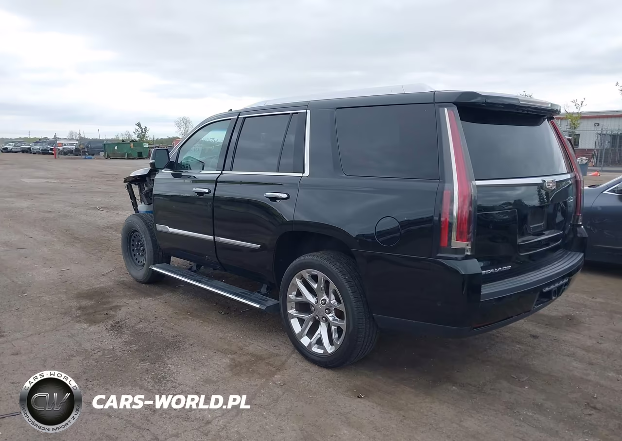 2019 Cadillac Escalade Premium Luxury VIN:1GYS4CKJ9KR189356 - 3
