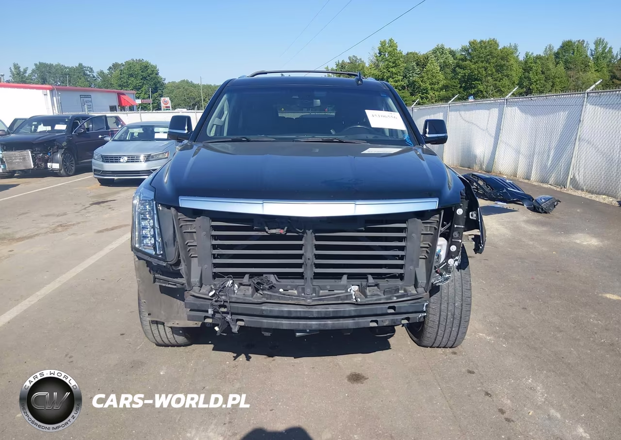 2019 Cadillac Escalade Esv Premium Luxury VIN:1GYS3JKJ2KR100668 - 13