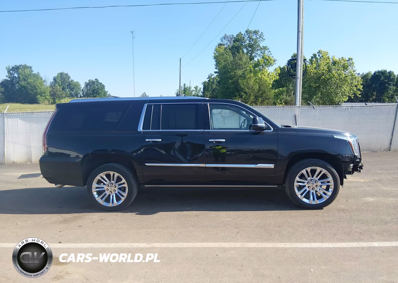 2019 Cadillac Escalade Esv Premium Luxury VIN:1GYS3JKJ2KR100668 - 14