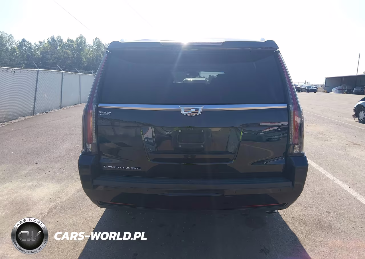 2019 Cadillac Escalade Esv Premium Luxury VIN:1GYS3JKJ2KR100668 - 17