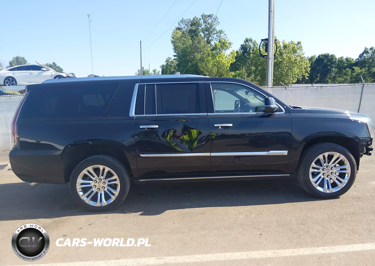 2019 Cadillac Escalade Esv Premium Luxury VIN:1GYS3JKJ2KR100668 - 19