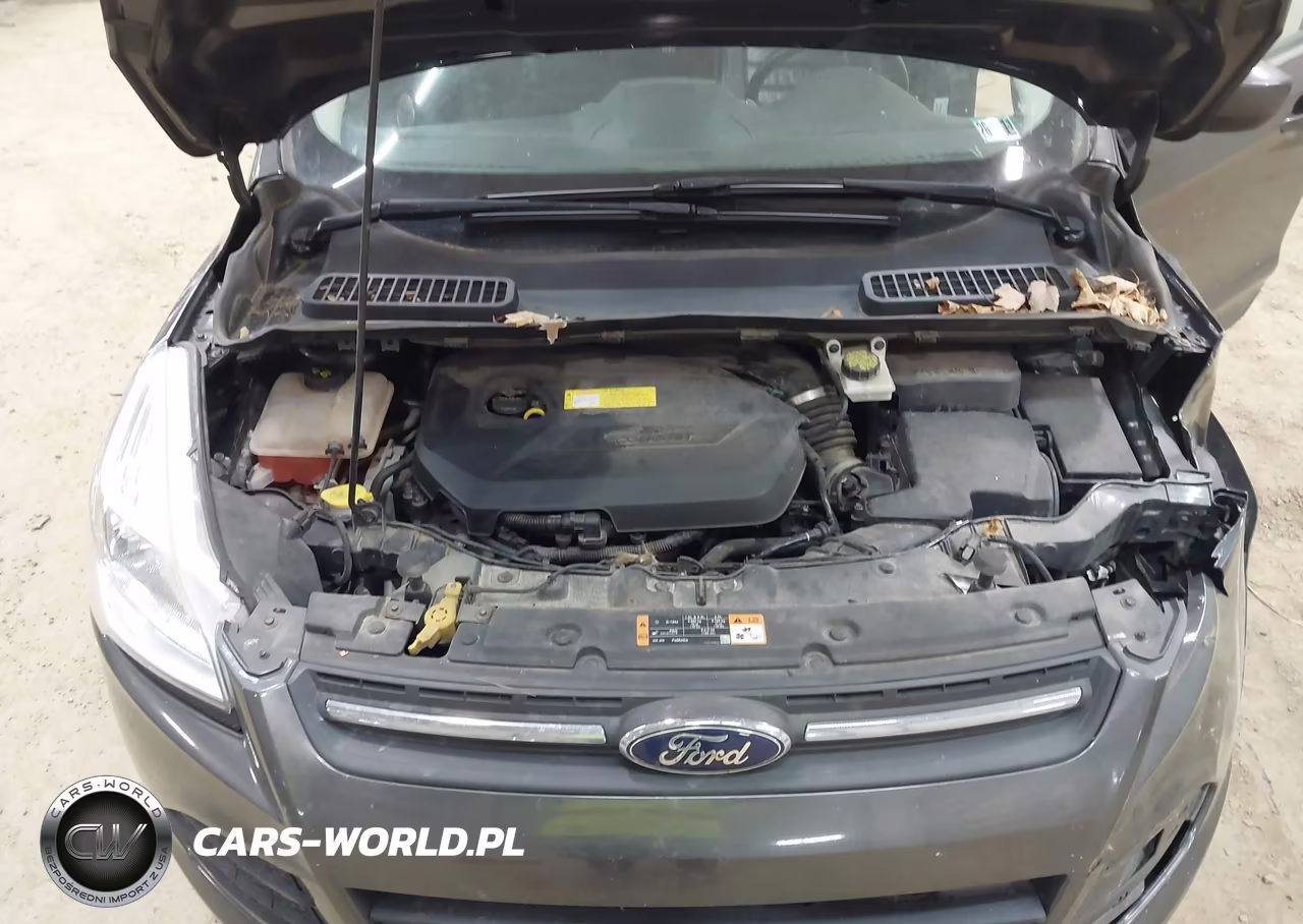 2015 Ford Escape Se VIN:1FMCU9GX6FUC65186 - 10