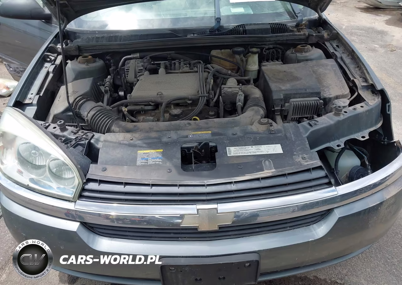 2004 Chevrolet Malibu Ls VIN:1G1ZT54804F203770 - 10