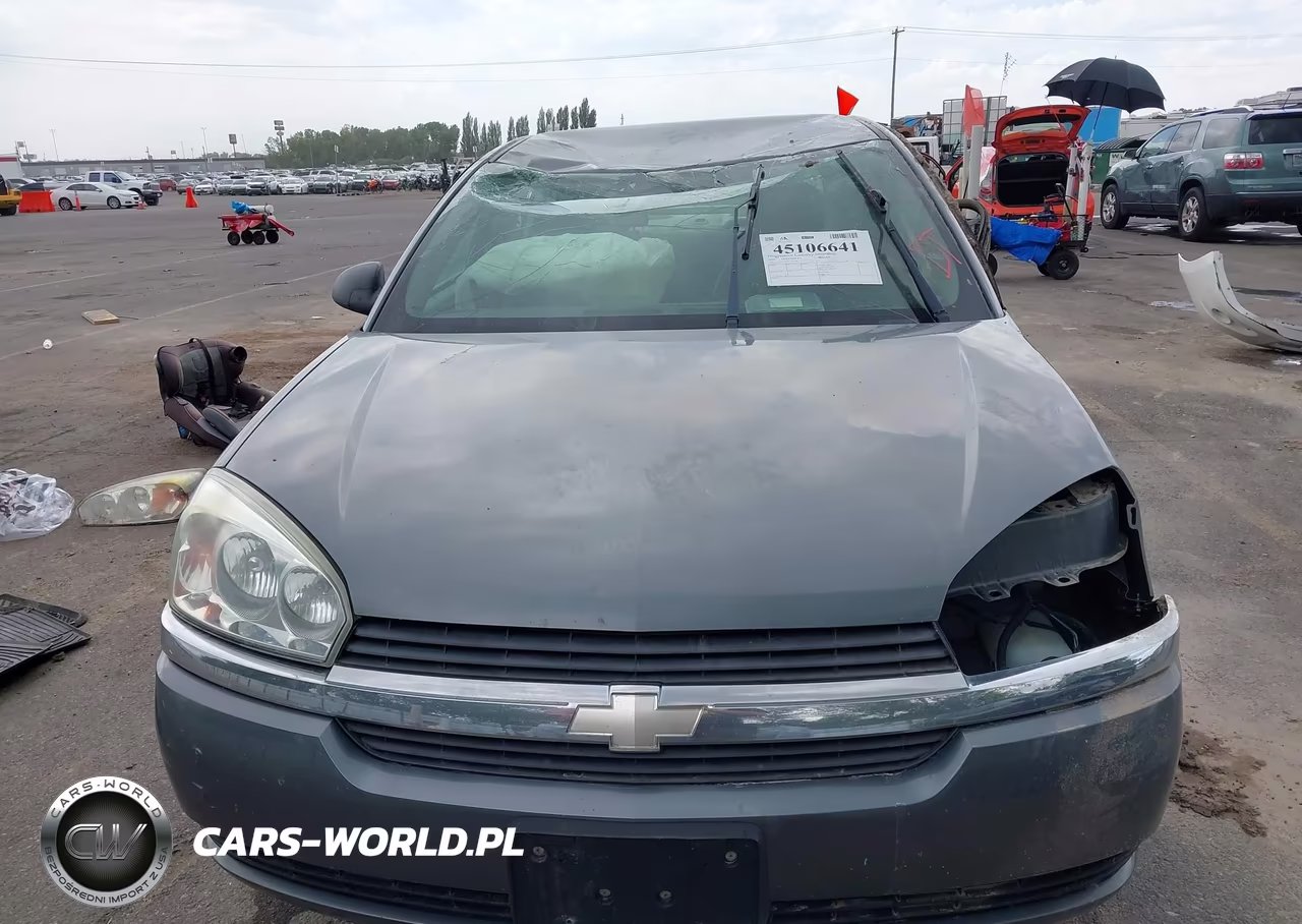 2004 Chevrolet Malibu Ls VIN:1G1ZT54804F203770 - 12
