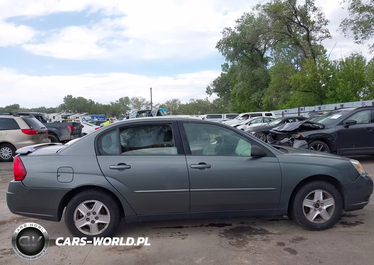 2004 Chevrolet Malibu Ls VIN:1G1ZT54804F203770 - 13