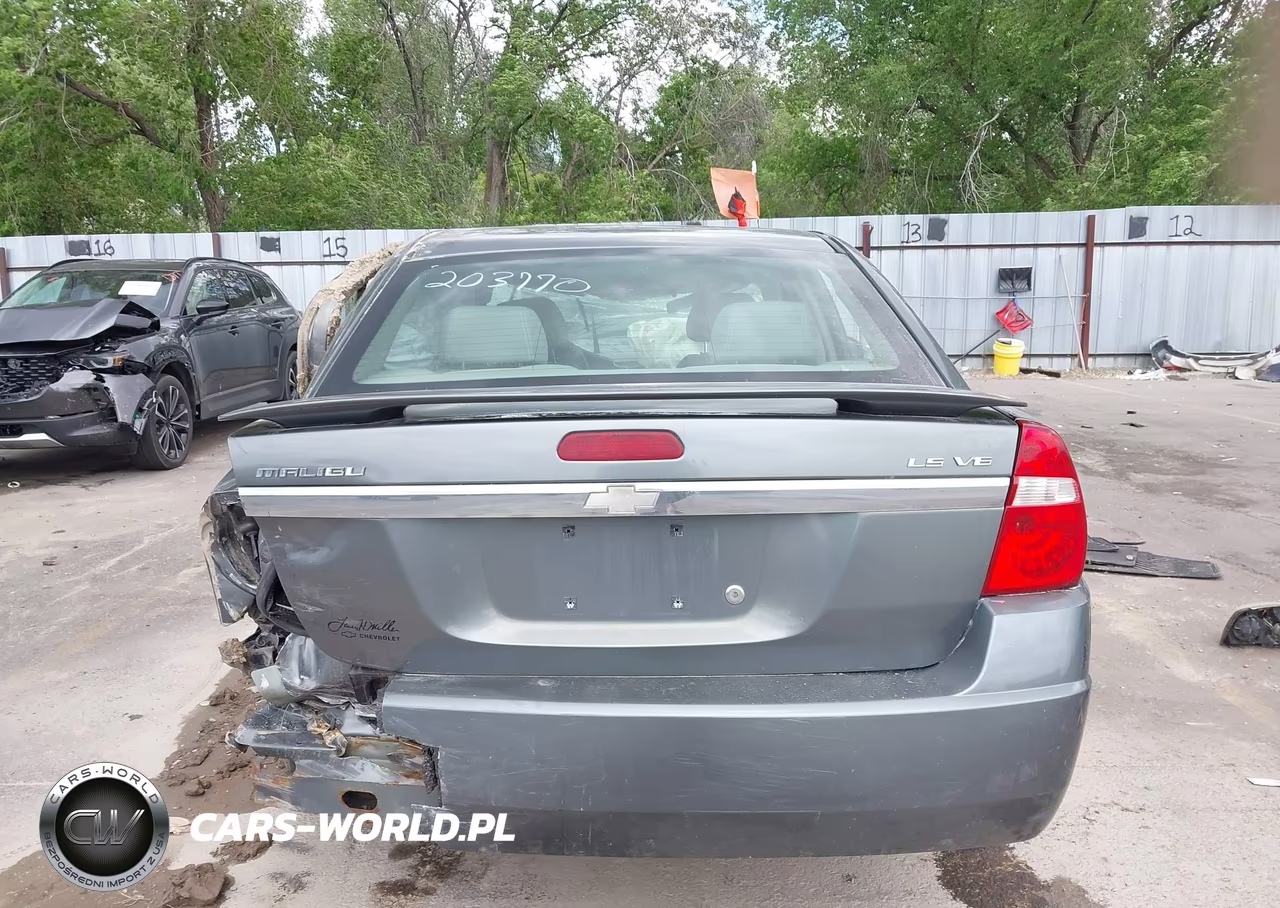 2004 Chevrolet Malibu Ls VIN:1G1ZT54804F203770 - 16