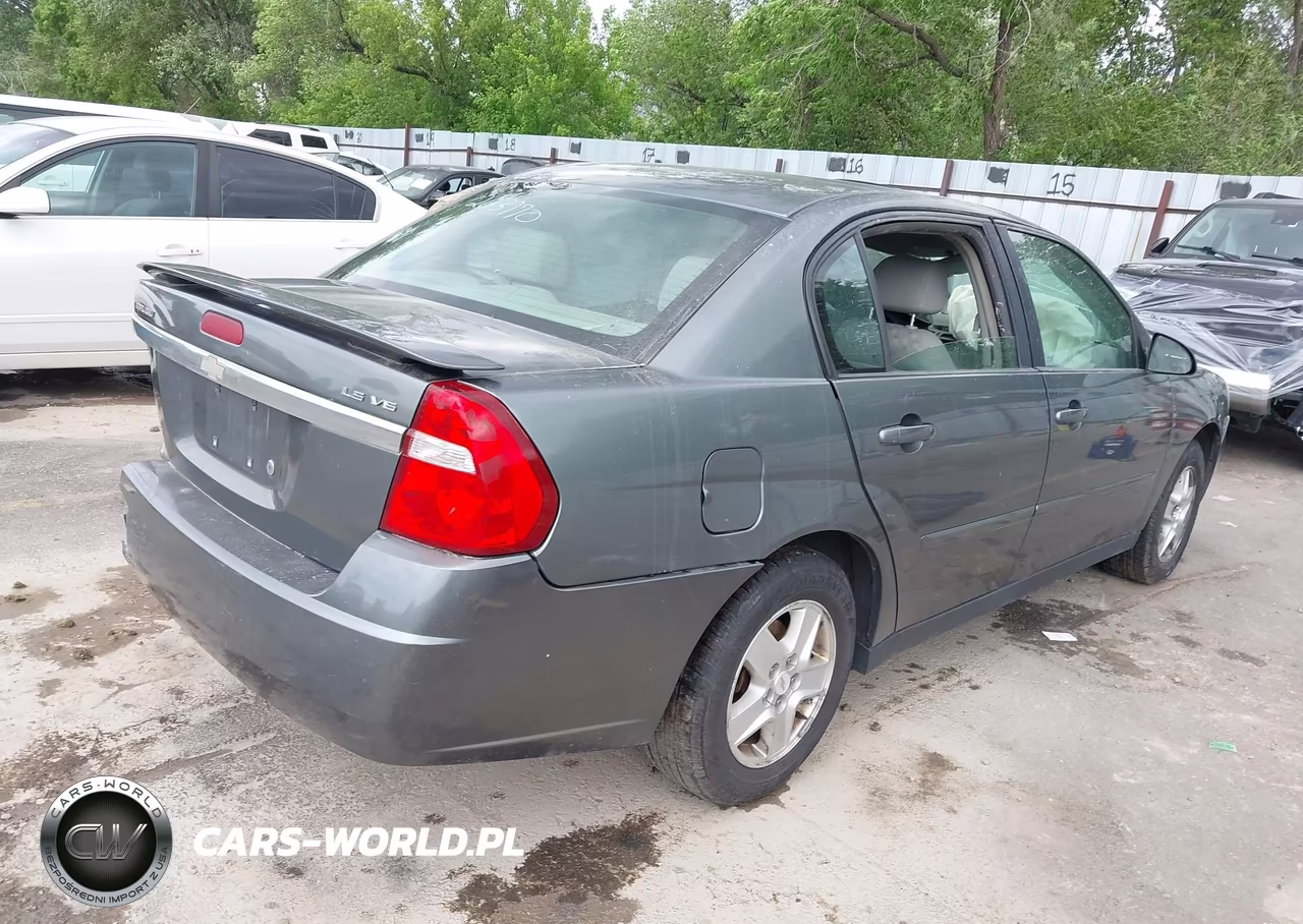 2004 Chevrolet Malibu Ls VIN:1G1ZT54804F203770 - 4