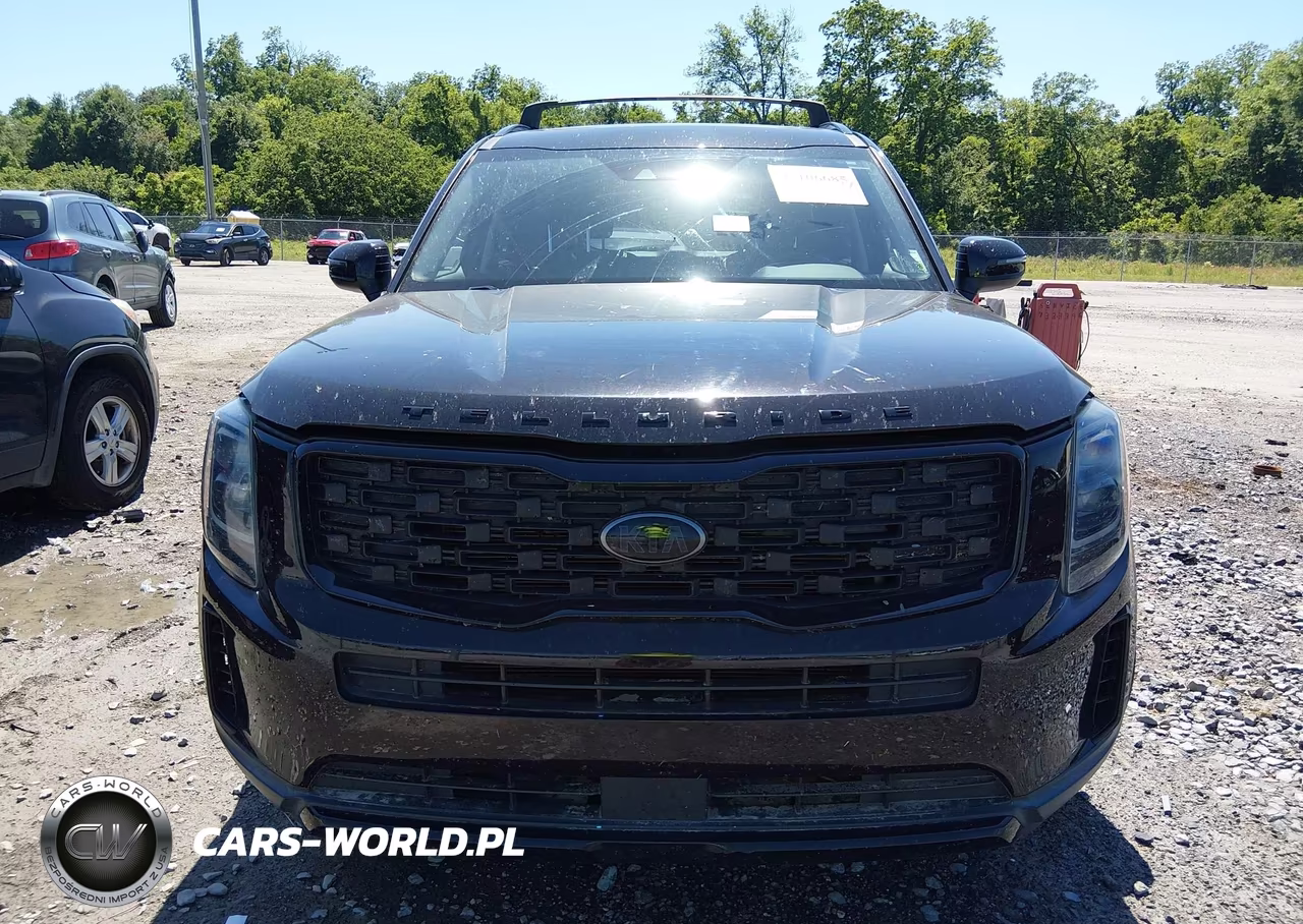 2021 Kia Telluride Ex VIN:5XYP3DHC2MG136495 - 12
