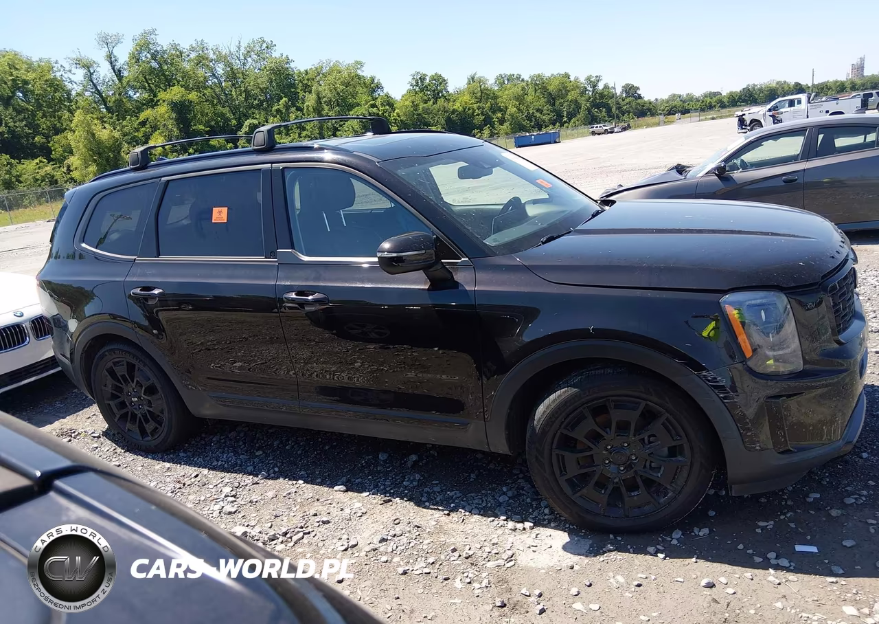 2021 Kia Telluride Ex VIN:5XYP3DHC2MG136495 - 13