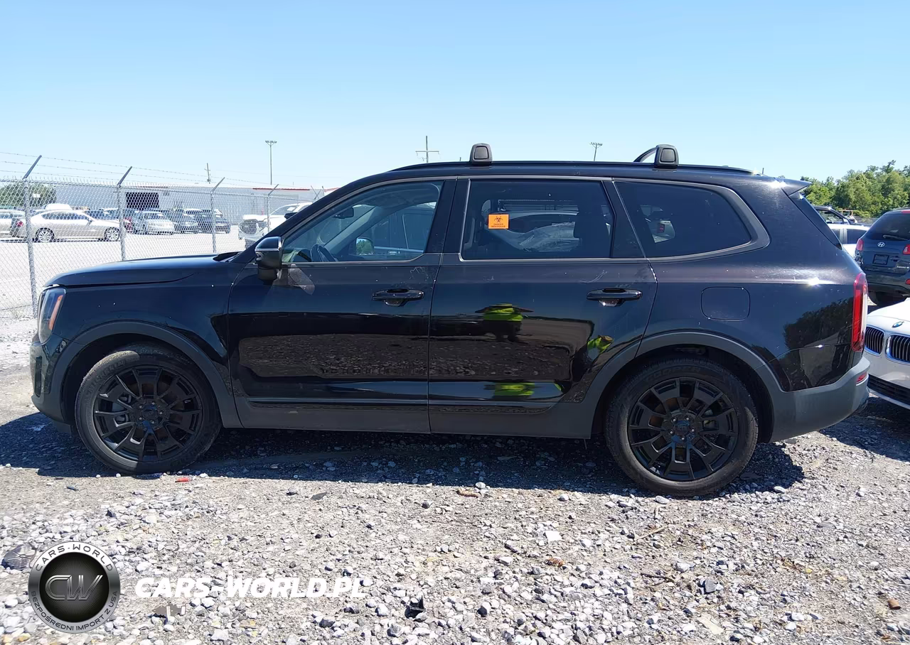 2021 Kia Telluride Ex VIN:5XYP3DHC2MG136495 - 14