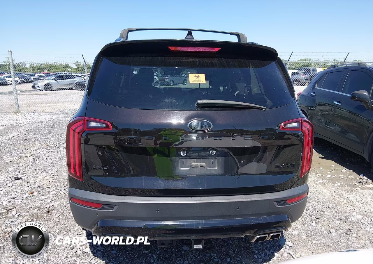 2021 Kia Telluride Ex VIN:5XYP3DHC2MG136495 - 16