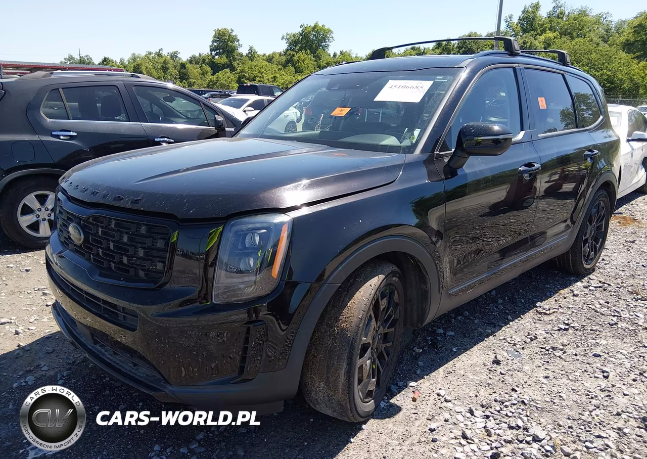 2021 Kia Telluride Ex VIN:5XYP3DHC2MG136495 - 2