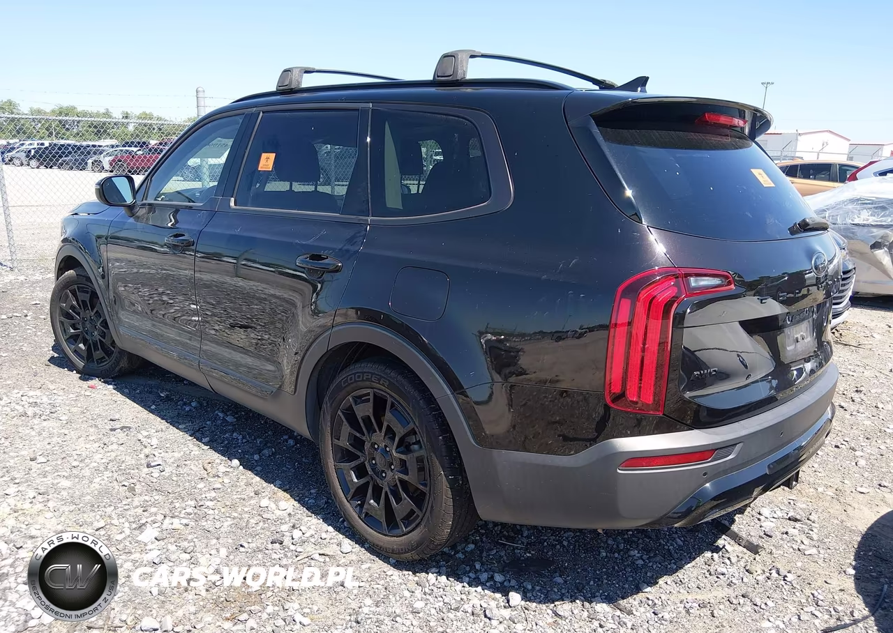 2021 Kia Telluride Ex VIN:5XYP3DHC2MG136495 - 3