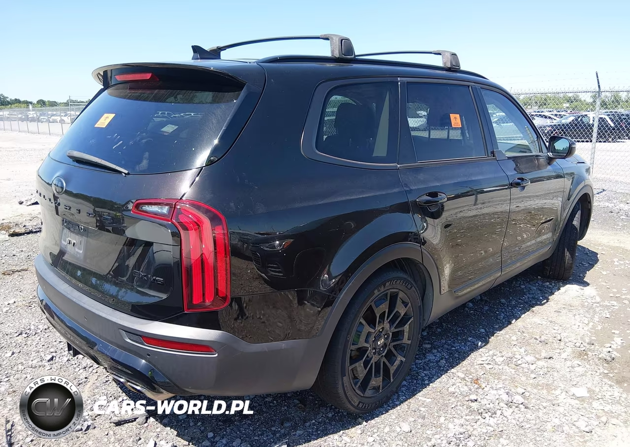 2021 Kia Telluride Ex VIN:5XYP3DHC2MG136495 - 4