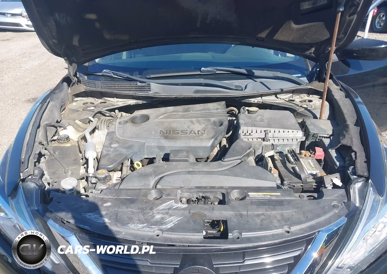 NISSAN ALTIMA VIN:1N4AL3AP4HN316269 - 10