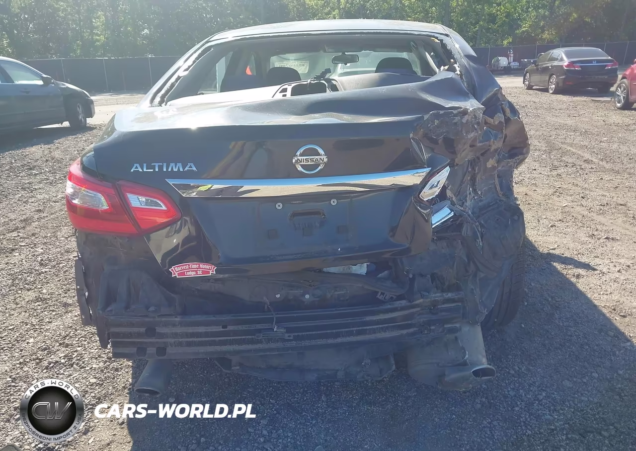 NISSAN ALTIMA VIN:1N4AL3AP4HN316269 - 6