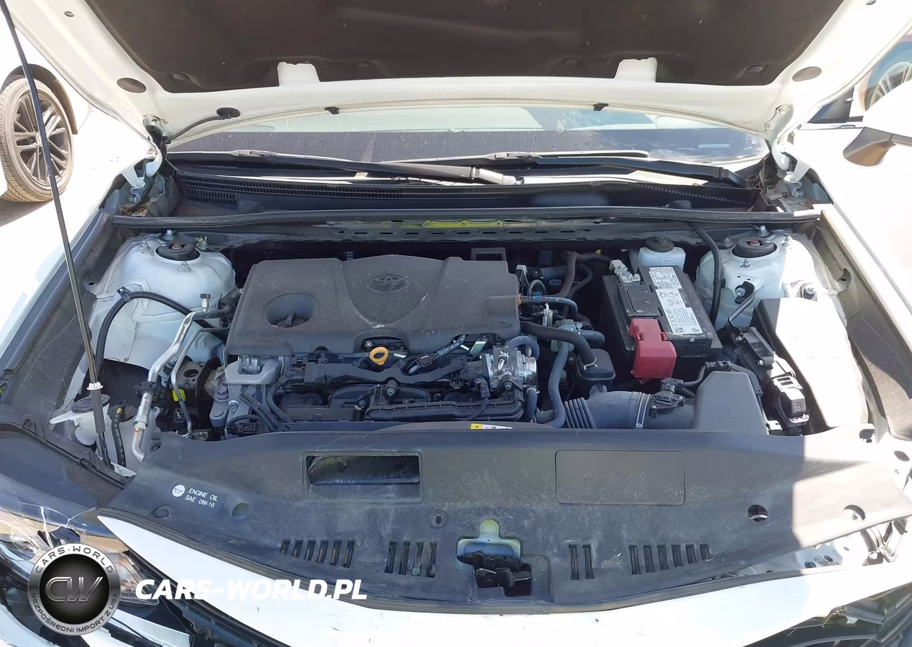 2023 Toyota Camry Le VIN:4T1C11BK4PU094137 - 10