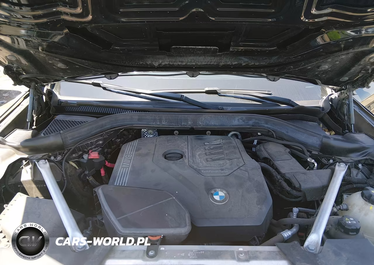 2023 BMW X3 xDrive30I VIN:5UX53DP08P9S81480 - 10