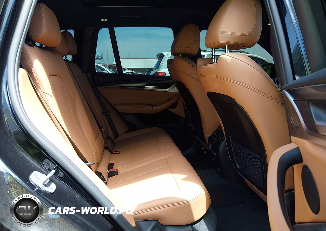 2023 BMW X3 xDrive30I VIN:5UX53DP08P9S81480 - 8