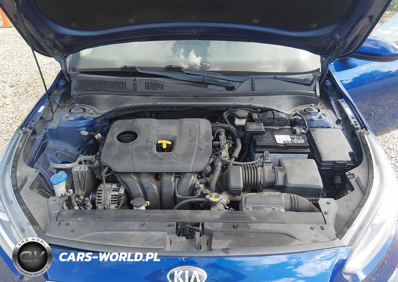 2019 Kia Forte Lxs VIN:3KPF24AD0KE011913 - 10