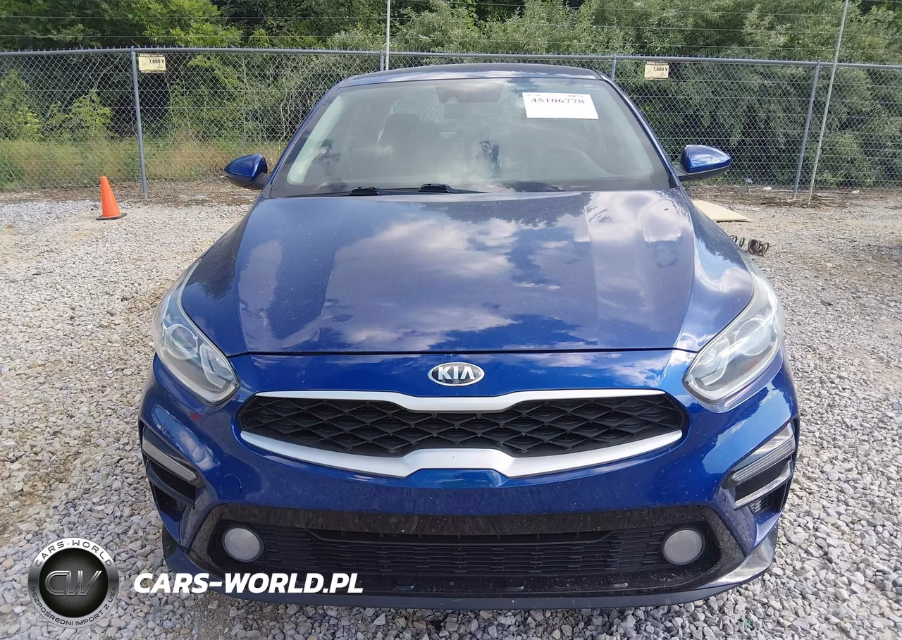 2019 Kia Forte Lxs VIN:3KPF24AD0KE011913 - 12