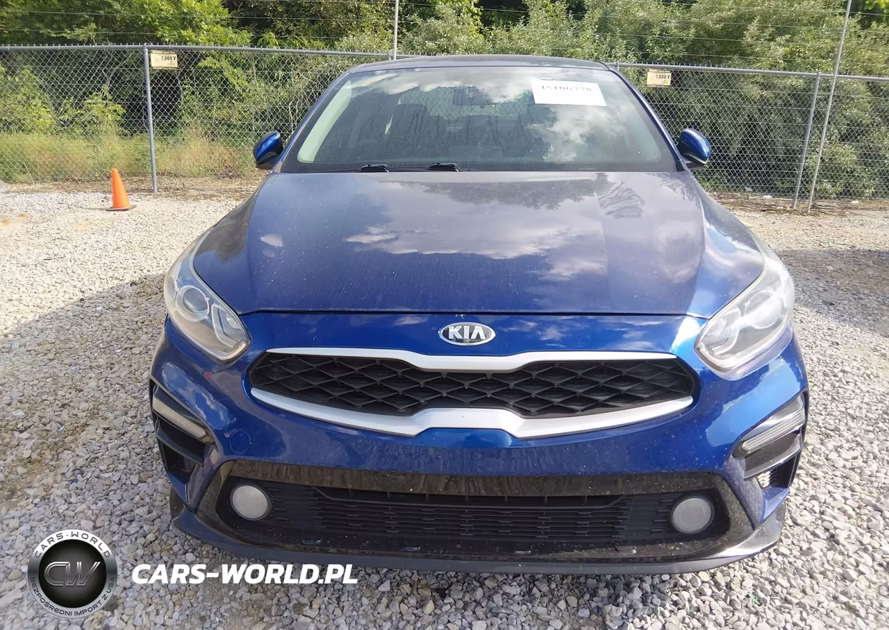 2019 Kia Forte Lxs VIN:3KPF24AD0KE011913 - 6