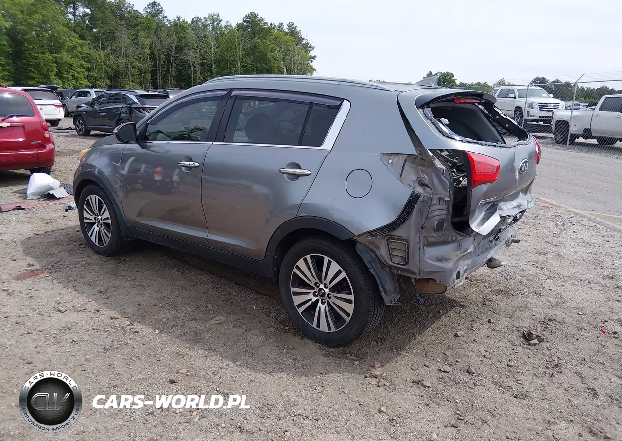 2016 Kia Sportage Ex VIN:KNDPC3AC7G7826569 - 3