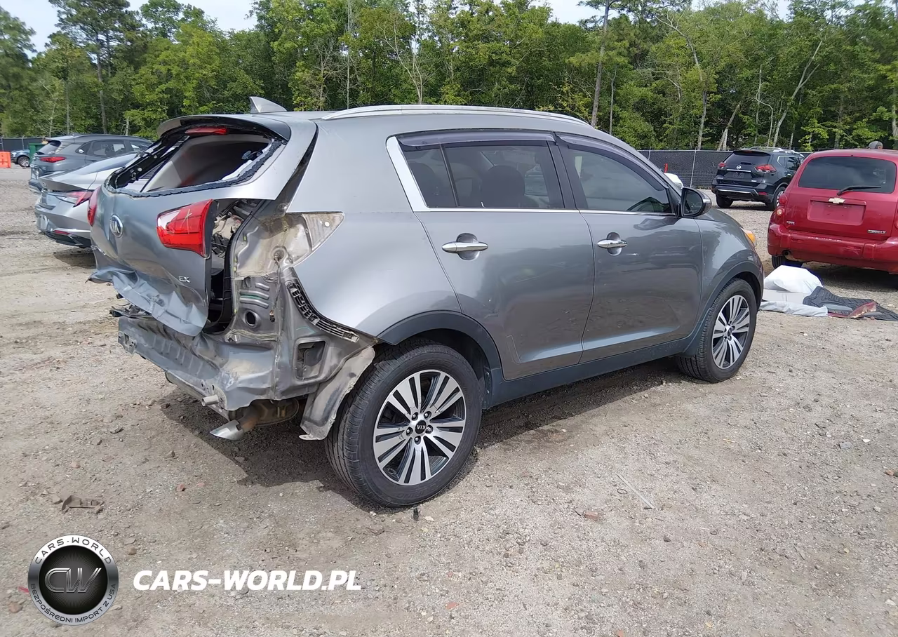 2016 Kia Sportage Ex VIN:KNDPC3AC7G7826569 - 4