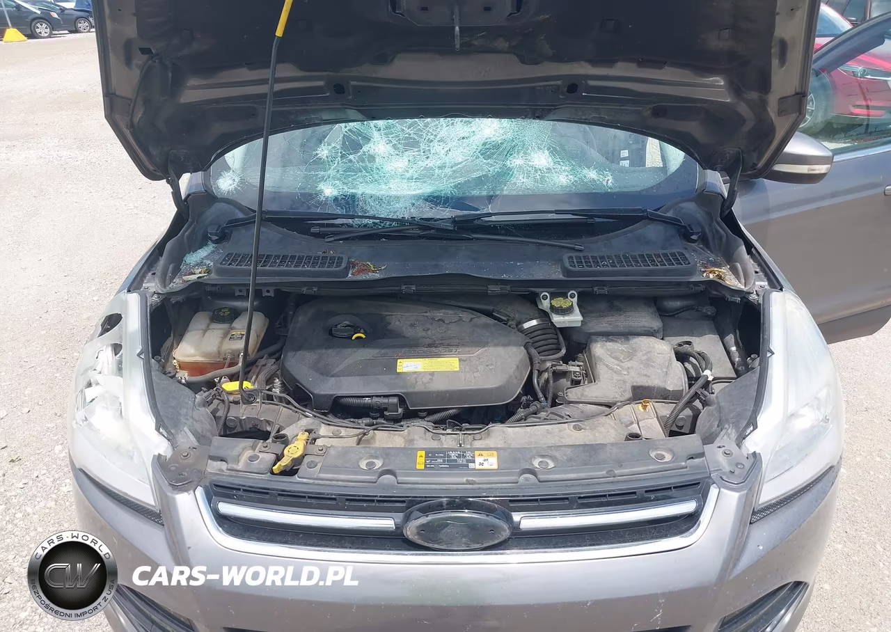 2013 Ford Escape Sel VIN:1FMCU0HXXDUD54279 - 10