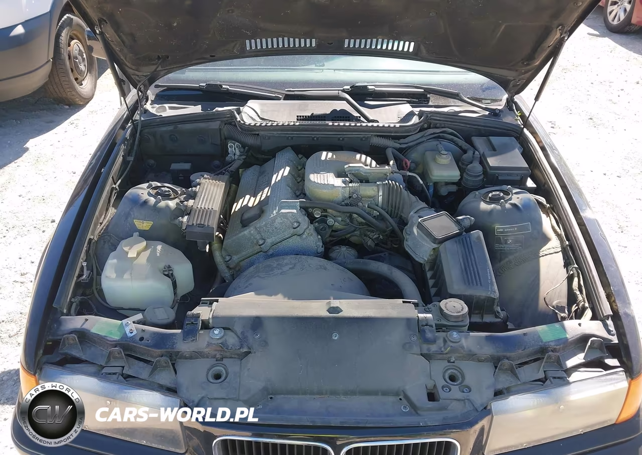 1994 BMW 318 Is Automatic VIN:WBABE6322RJC13887 - 10
